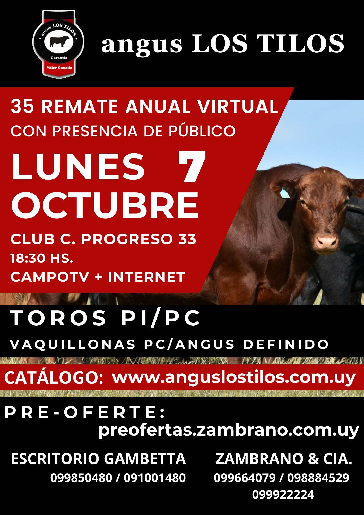 Afiche histórico 35° Remate Anual