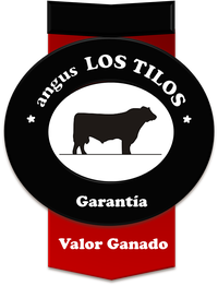 angus LOS TILOS